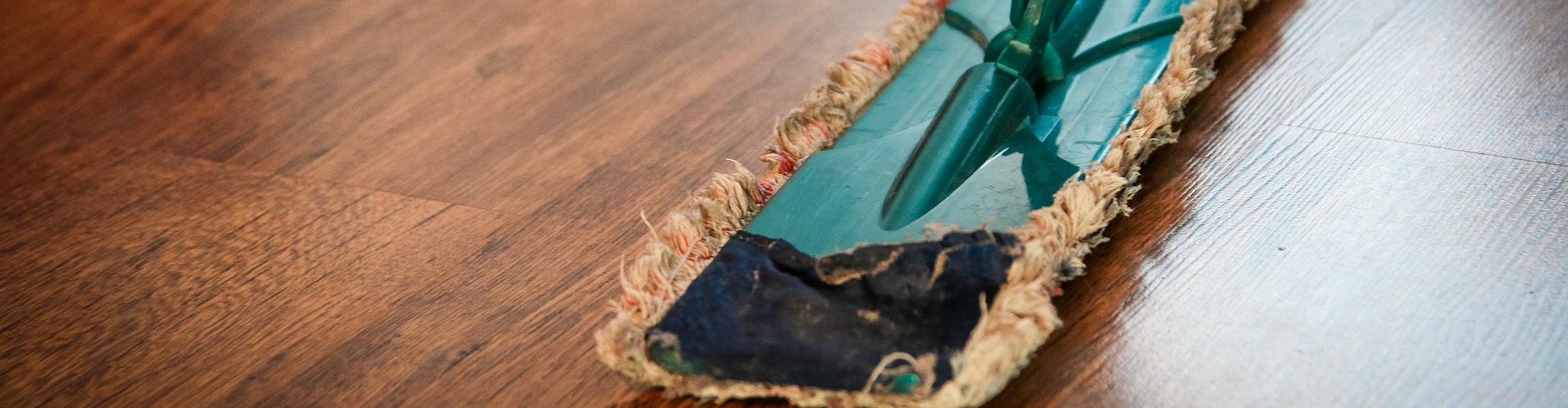 Professional floor care and cleaning services